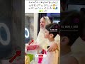Returned Home After Memorizing the Holy Quran A Mother’s Emotional Moment🤍#youtubeshort#islamicvideo