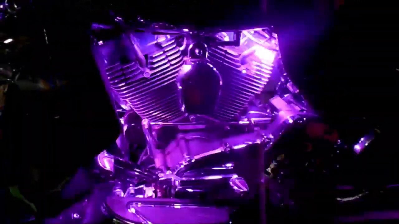 KURYAKYN SUPER LIZARD LIGHTS - YouTube
