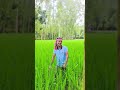 মাথা খারাপ নাকি #fouryourpag #foryou #comedy #trending #trend