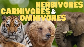 Herbivores, Carnivores, and Omnivores for Kids | Learn which animals eat plants, meat, or both