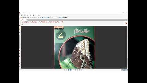 Video Lecture Of Islamiat for class 7