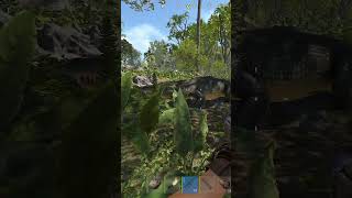 Vous avez vu un truc vous ? #twitch #clip #rust