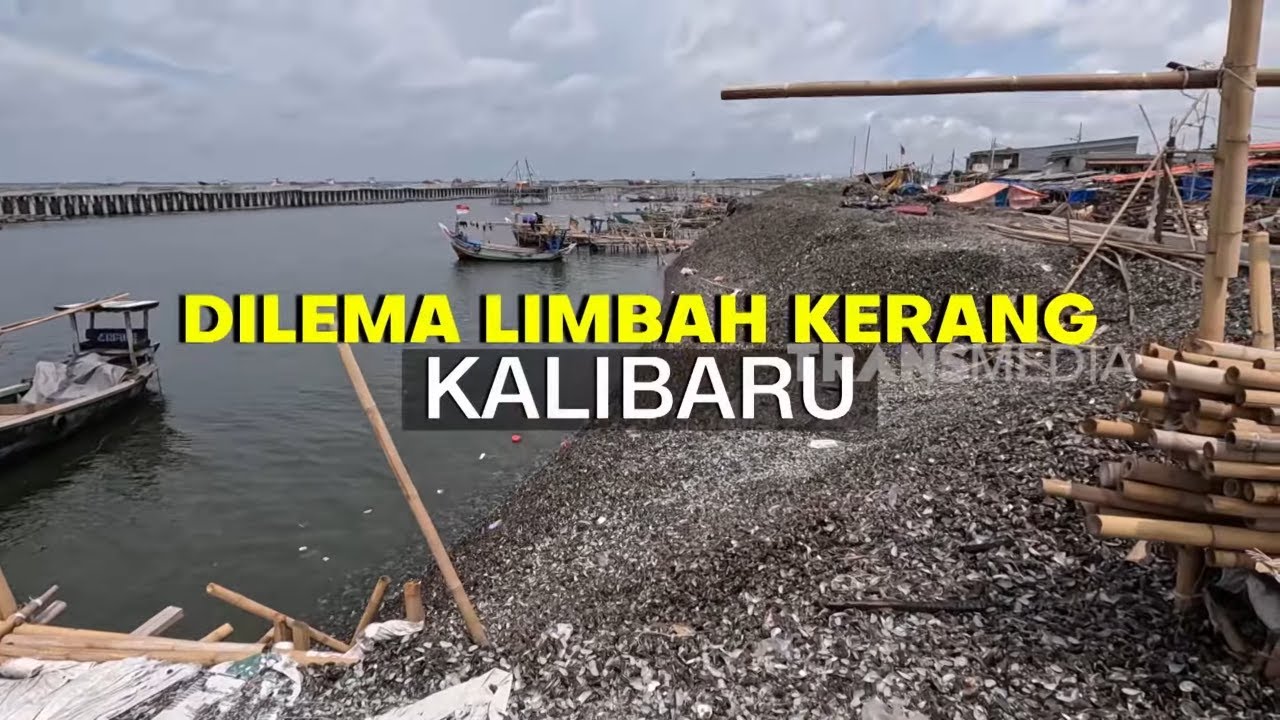 DILEMA LIMBAH KERANG KALIBARU | INDONESIAKU (13/01/26)