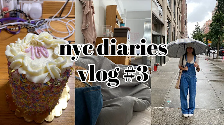 NYC Diaries: Vlog #3 (Dealing With New Responsibil...