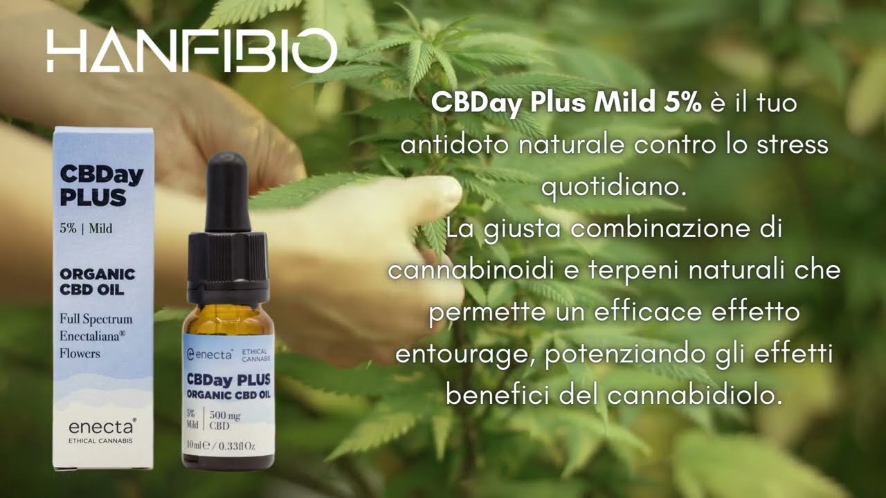 CBDay Plus Mild 5% di Enecta, una combinazione magica contro lo stress quotidiano