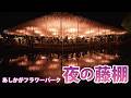 【4K】あしかがフラワーパーク 昨夜のようす