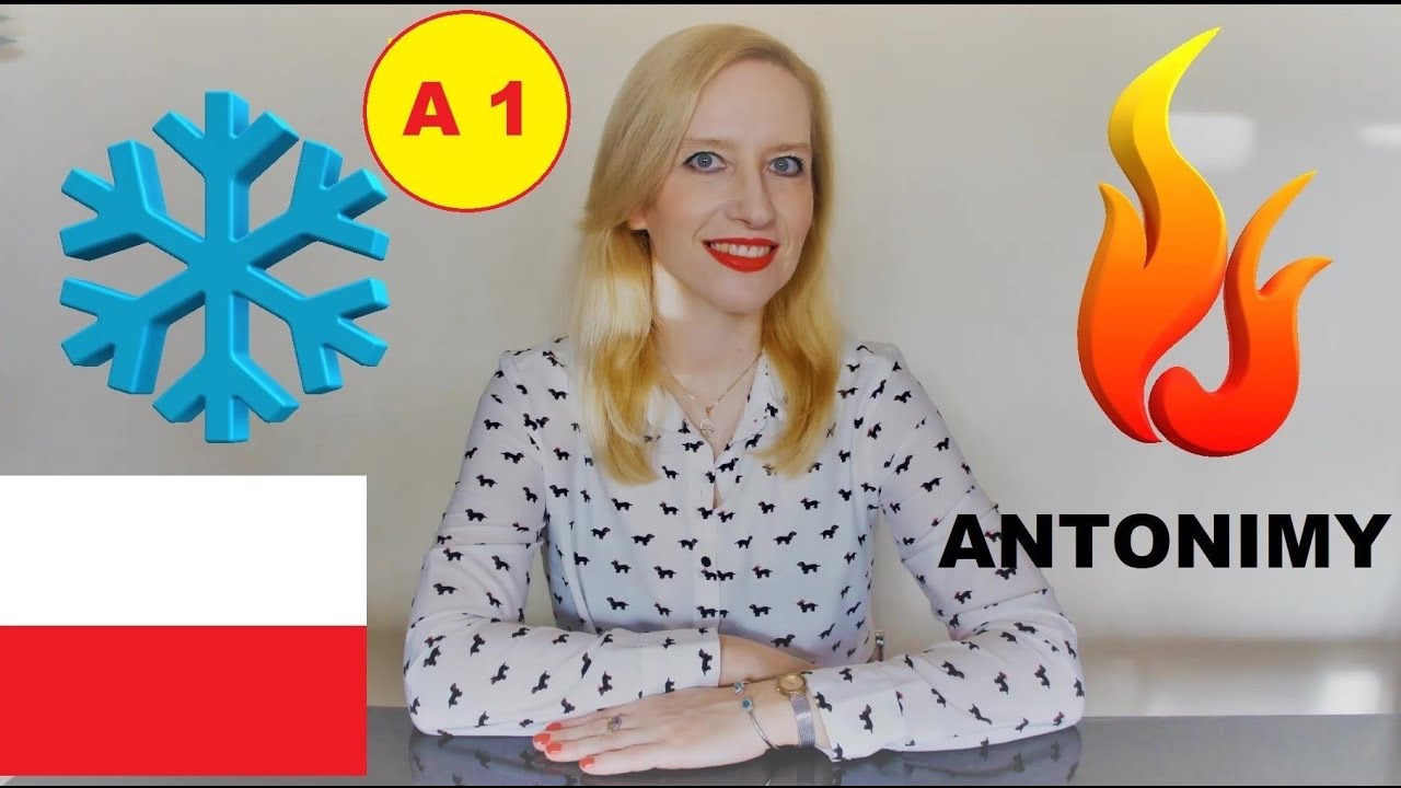 LEARN POLISH (A1) ANTONIMY/ ANTONYMS (ENGLISH SUBTITLES) YouTube