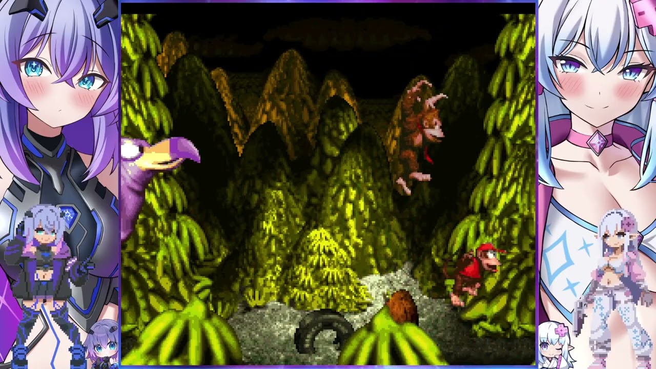 Donkey Kong Country - Necky's Revenge