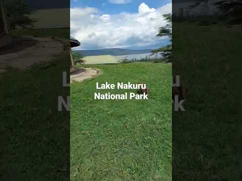 Video: Národní park Lake Nakuru: umístění, popis, fotografie