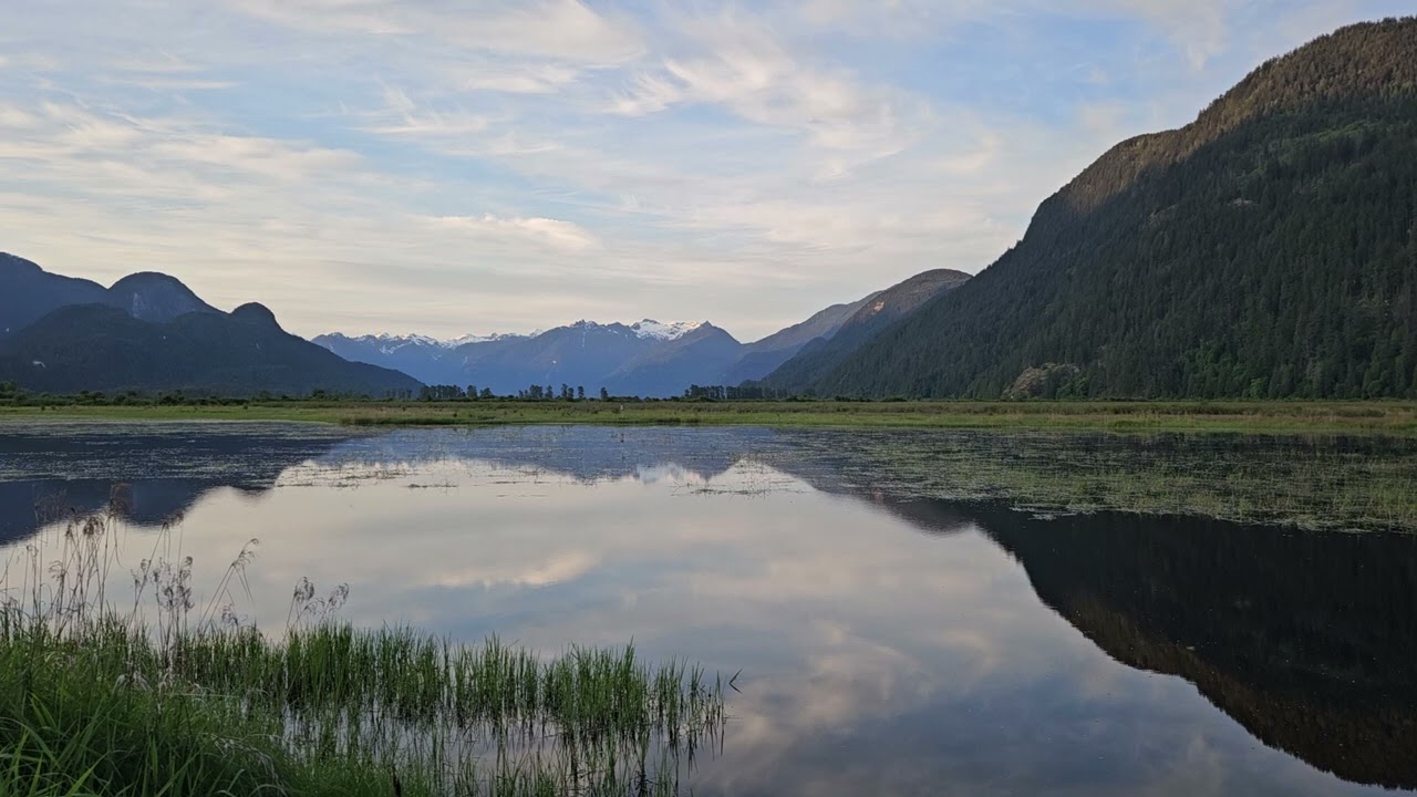 Pitt Meadows marsh