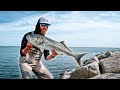 Targeting THE ULTIMATE Fighting Fish!! *MONSTER BLUEFISH*
