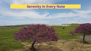 Serenity in Every Note (103 part) #musicrelax #meditation #yoga #sleep