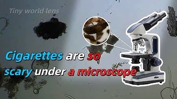 Cigarettes are so scary under a microscope