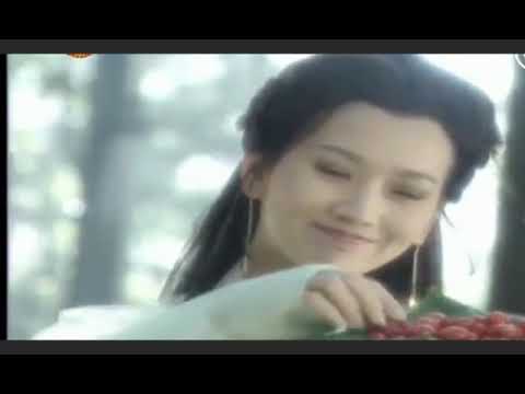 ZZ dan CC di Nie Hai Hua