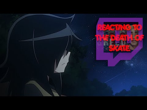 Reacting To The Death Of Skate.
