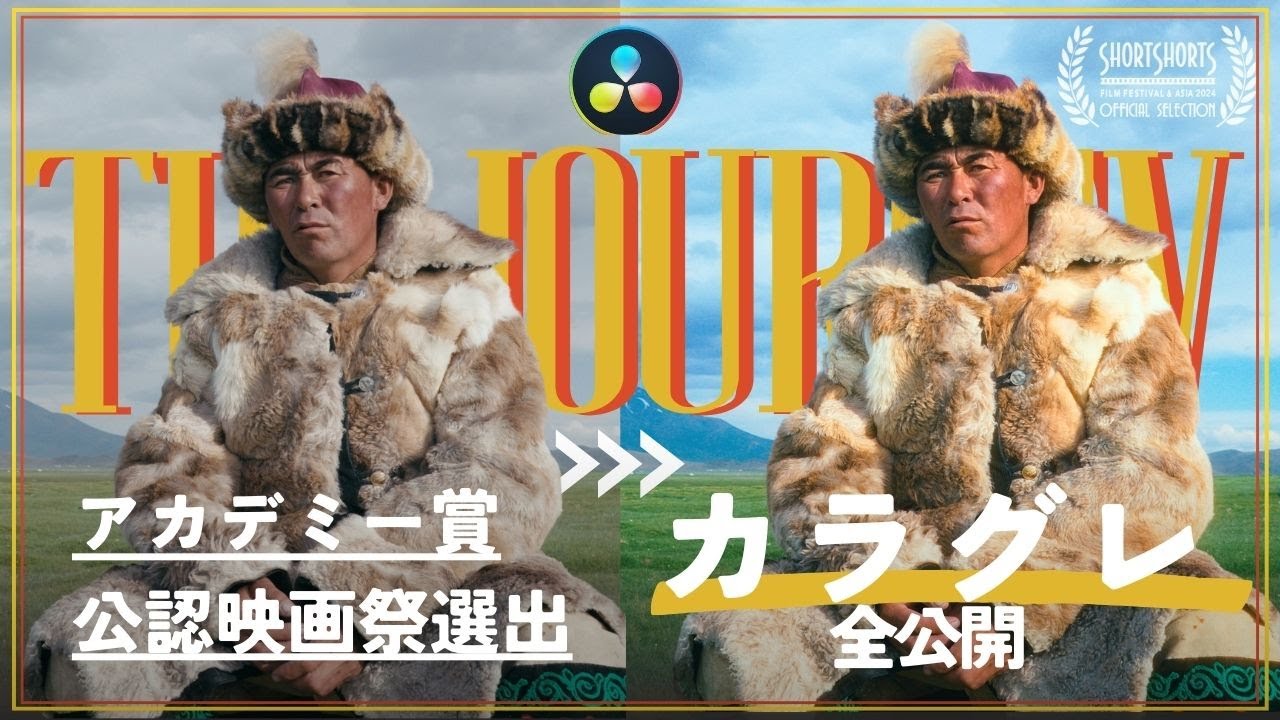 アカデミー賞公認映画祭に選出された映画のカラーグレーディングを全公開! #davinciresolve