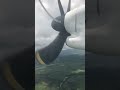 Optical illusion of plane propellers stopping mid air or sometimes turning the other way