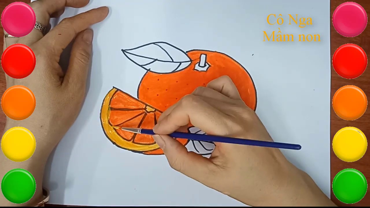 Vẽ Qủa Cam/ Hướng Dẫn Vẽ Quả Cam/ Draw An Orange - Youtube