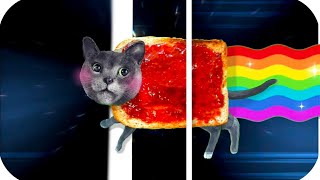 냥캣 고양이 리믹스 Nyan Cat Real