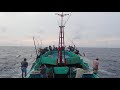 Skipjack Tuna Feasts! Pole and Line Fishing from Bitung, North Sulawesi (KM. Jaya Bitung 89)