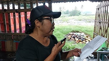 Wangsalan Banyuwangi Oseng Senior Radio Mama Mercy di Canel Pesanggaran Bahasa Khas Gambiran Warung