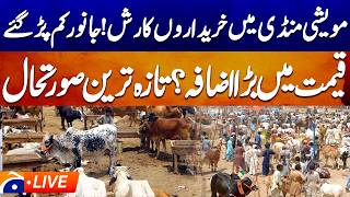🔴LIVE: Eid-ul-Adha 2026 Preparations | Latest Cattle Market Updates | Tuesday Mandi Updates