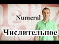 Числительное. NUMERAL