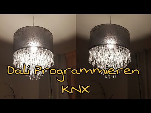 Dali programmieren| KNX| Licht dimmen| Smarthome| Technikday| Die Siwuchins