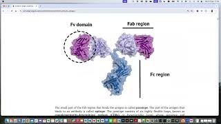 HADDOCK3 antibody-antigen tutorial