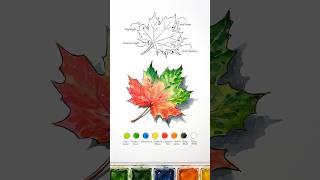 How to Paint a Realistic Fall Maple Leaf in Watercolor | Autumn Leaf Painting Tutorial