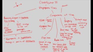 Classification/Virology - Classification II | BIALIGY.com