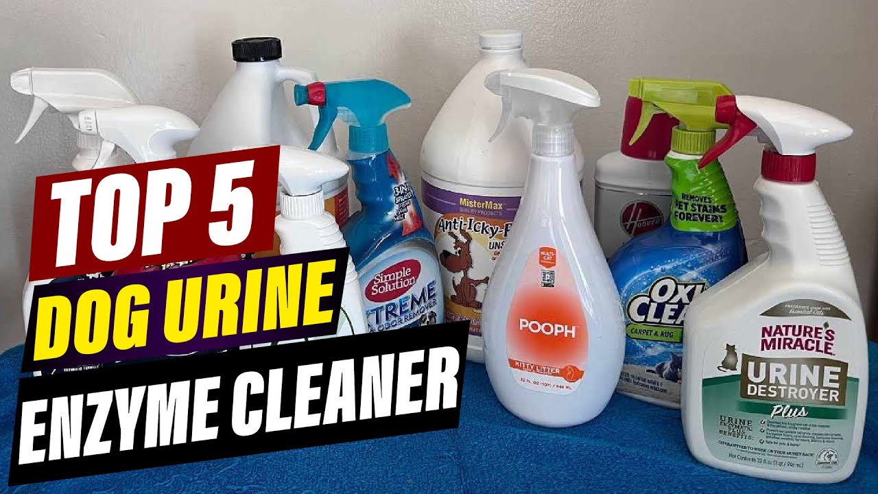 Best Dog Urine Enzyme Cleaner: Eliminate Odors & Stains Permanently