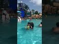 Father & Son water time #ytshorts #fathersonbond #love #waterpark #fun #familytime #fyp