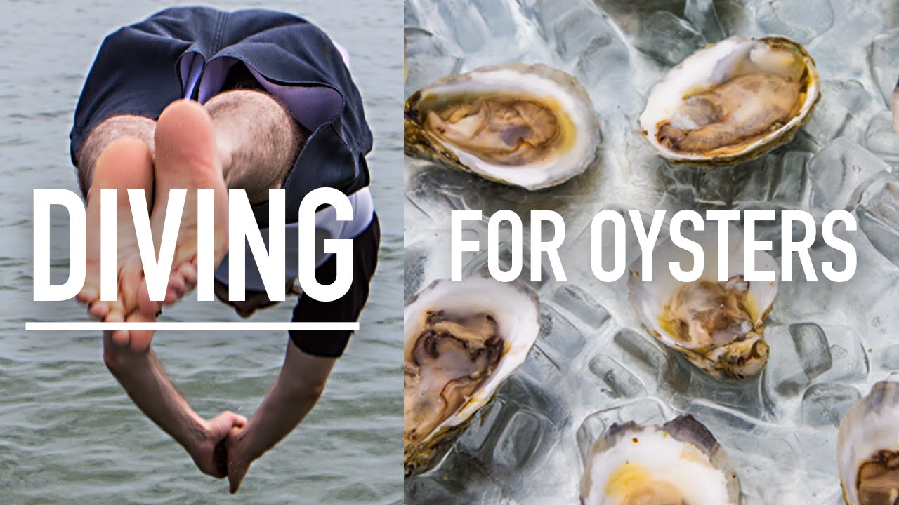 Virginia - DIVING FOR OYSTERS WITH THOR! #LostandHungry | Sorted Food