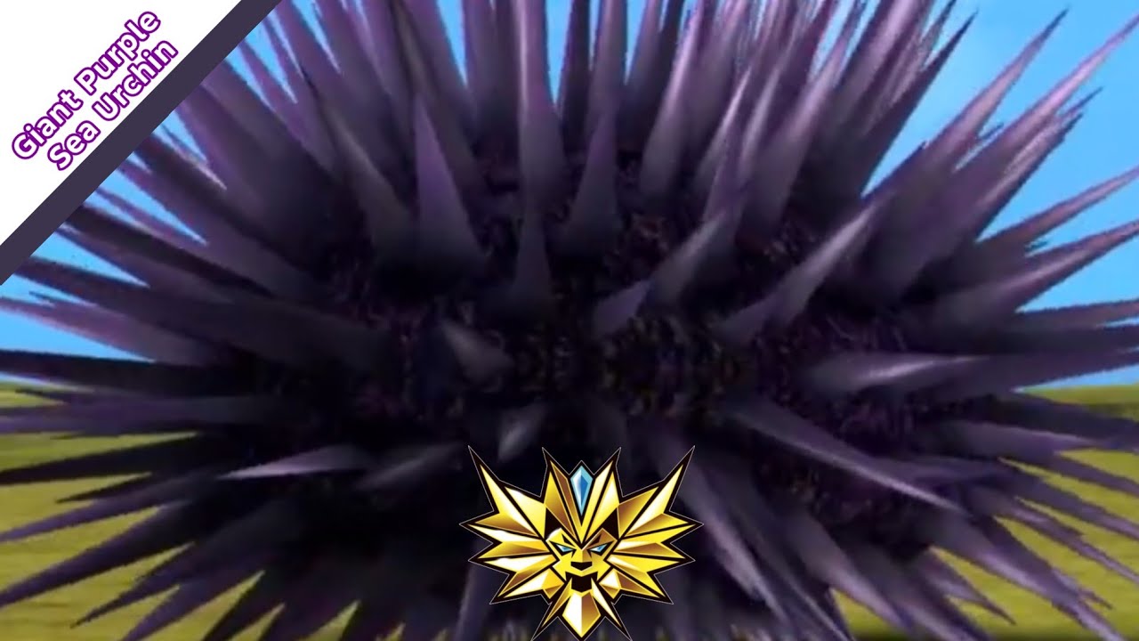 Giant Purple Sea Urchin gameplay. Strong animal kaiser max4 | 百獣