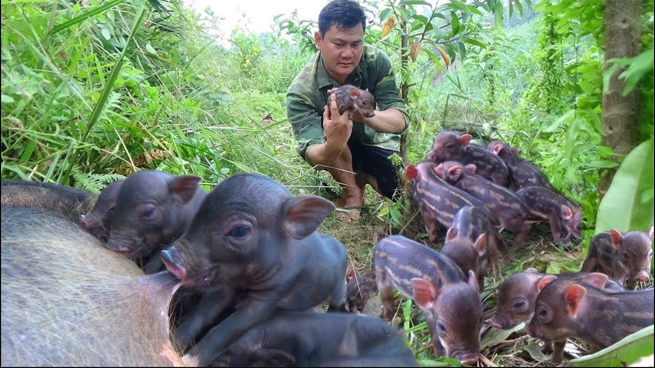 Crafting logs into water tanks, raising wild boars - a life of freedom.