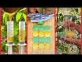 Survival Skills: The shows and Useful save SOAP &amp; Water #bushcraft #camping #survival #useful #idea