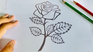 Coloring a Beautiful Flower, Learn, Colors for Kids, Educational Video, Coloring class