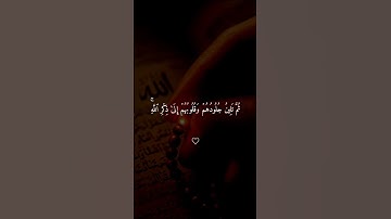 الله نزل احسن الحديث كتابا متشابها❤️🕊️#سورة_الزمر #القرآن_الكريم #راحة_نفسية  #اكسبلور