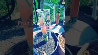 The Best Of New Shorts S Portmaitlanddolly - Best Shorts S 2023. Resimi