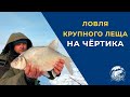 Ловля крупного Леща на чёртика. Безмотылка. Catching large Bream on the devil