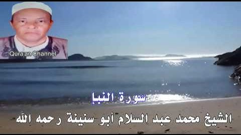 سورة النبإ محمد أبو سنينة برواية قالون