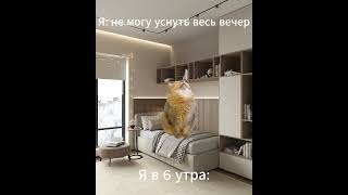 жизненно 😂 #real #dream #sleep #memes #жизнено #жиза