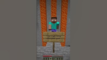 Minecraft: If Saving Herobrine was a Choice