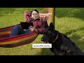Great Pet Care — Delivering Structured Pet Health Guidance for Responsible Owners