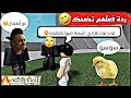قلت للناس توت توت هادي البيضة فيها كتكوت ردة أفعالهم لا يفوتكم قلت للناس توت توت هادي البيضة فيها كتكوت ردة أفعالهم لا يفوتكم