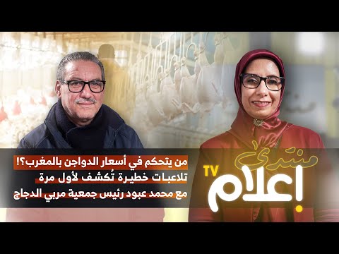 من يتحكم في أسعار الدواجن بالمغرب تلاعبات خطيرة ت كشف لأول مرة مع محمد عبود رئيس جمعية مربي الدجاج