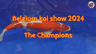 Belgian koi show 2024 by Aquatechnobel 903 views 3 weeks ago 7 minutes, 14 seconds