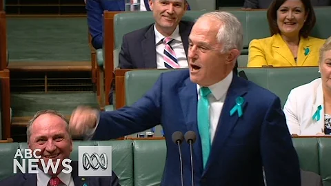 Malcolm Turnbull calls Bill Shorten 'sycophant'