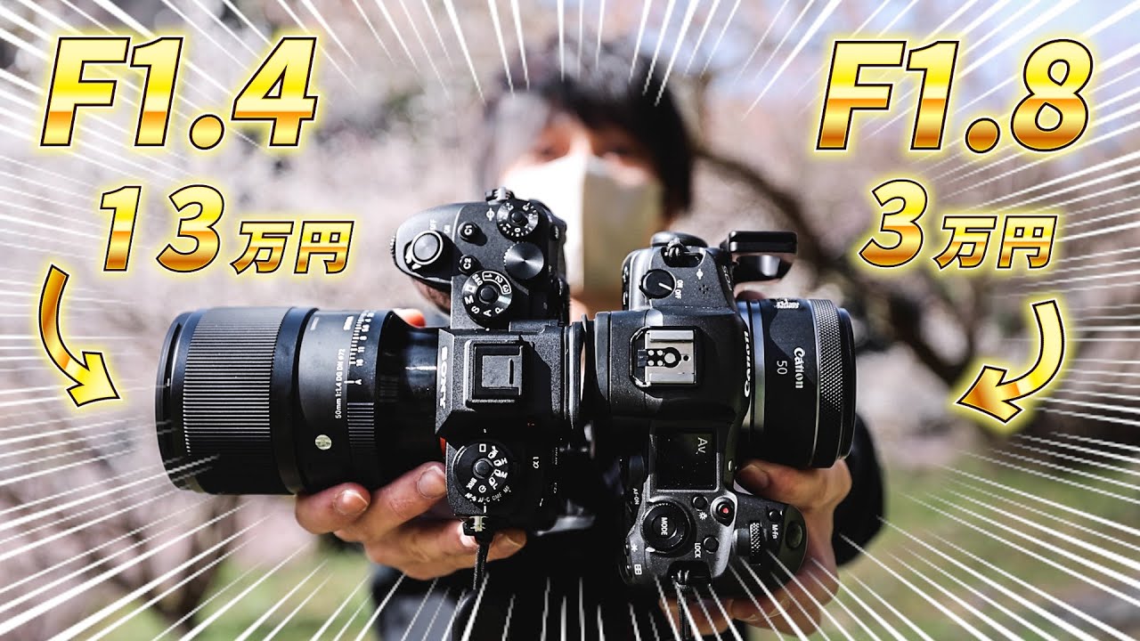 Nikon AF-S 50mm f/1.8G with D750 field test in Higashiyama Kyoto